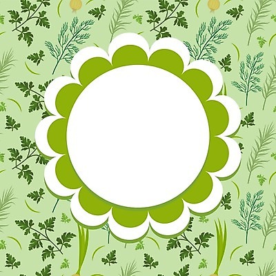 EPS 해외이미지 식물 템플릿 디자인 배너 꽃 백그라운드 잎 패턴 일러스트 자연 수채화 프레임 미술 장식 초록색 여름 꼬리표 라벨 신용카드 허브 순수 향신료 유기농 초대 바질 내추럴 백리향 오레가노 해외202004 해외일러스트 웰빙 계절 컬러 컨셉 무늬 문화예술 금융 생태계 향미료 파일형식 벡터 이미지허브