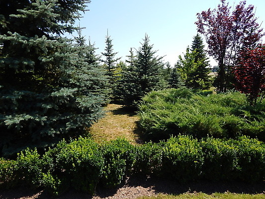 포토 JPG 해외이미지 나무 식물 디자인 공원 백그라운드 자연 풍경 잔디 사람없음 야외 장식 빨간색 초록색 정원 봄 관목 원예 조경 내추럴 심기 해외202004 해외포토 계절 공공시설 컬러 모션 취미 생태계 파일형식 이미지허브