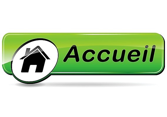 EPS 해외이미지 디자인 일러스트 버튼 주택 초록색 웹 땅 클릭 환영 프랑스어 고립 접수 해외202004 해외일러스트 문자 컬러 인터넷 건물 파일형식 벡터 이미지허브