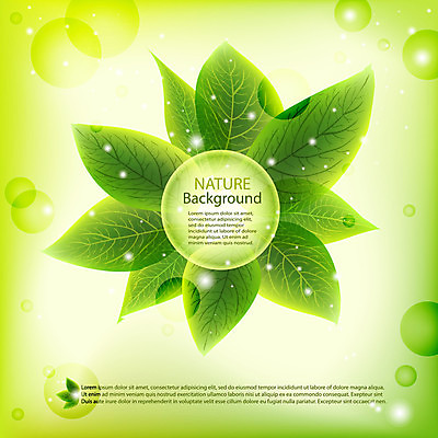 EPS 해외이미지 나무 배너 계절 백그라운드 잎 꽃무늬 일러스트 자연 추상 새로움 건강 사람없음 야외 장식 초록색 여름 우주 환경 정원 봄 공백 수확 덮개 흰색 나뭇가지 신선 신용카드 보호 숲 심볼 순수 질감 고립 블러 해외202004 해외일러스트 식물 꽃 컬러 컨셉 무늬 농업 금융 뚜껑 생태계 파일형식 벡터 이미지허브