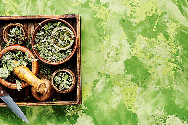 포토 JPG 해외이미지 식물 꽃잎 꽃 잎 꽃무늬 자연 건조 건강 사람없음 공백 들꽃 시골 허브 아로마 향 테라피 흙더미 내추럴 막자 자연요법 카피스페이스 해외202004 해외포토 무늬 뷰티 흙 생태계 파일형식 더미 이미지허브