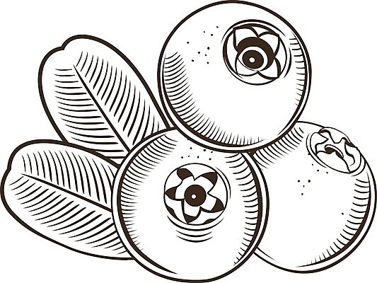 EPS 해외이미지 클립아트 열매 음식 잎 라인일러스트 일러스트 포장 자연 디저트 요리 그래픽 장식 꼬리표 라벨 주방 식당 주스 수확 신선 맛 잼 먹기 그림 에코 유기농 복고 블루베리 배지 판화 통조림 내추럴 고립 목판화 숙성 월귤 채식주의자 해외202004 해외일러스트 식물 웰빙 음료 컨셉 농업 과일 모션 프레임 미술 환경 상점 소스_음식 생태계 채식 파일형식 벡터 이미지허브