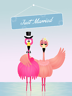 포토 JPG 해외이미지 동물 커플 계절 분홍색 결혼 2 날개 일러스트 자연 조류 함께함 사랑 이벤트 사람없음 야외 물 축하 인사 플라밍고 깃털 부리 엽서 해외202004 해외포토 자연요소 감정 컬러 컨셉 관계 예절 편지 생태계 파일형식 이미지허브