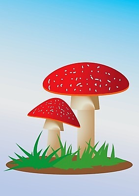 EPS 해외이미지 식물 음식 줄기 백그라운드 채소 일러스트 자연 건강 저울 그래픽 빨간색 컬러풀 우주 버섯 가을 흰색 독약 숲 스케치 심볼 그림 유기농 심플 진흙 곰팡이 식용 캡모자 해외202004 해외일러스트 모자_잡화 웰빙 계절 컬러 미술 생태계 파일형식 벡터 이미지허브