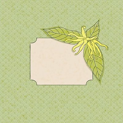 EPS 해외이미지 클립아트 나무 식물 템플릿 꽃 백그라운드 잎 꽃무늬 일러스트 자연 프레임 초록색 노란색 스파 벚꽃 흰색 에코 향기 아로마 인도네시아 악취 내추럴 고립 해외202004 해외일러스트 아시아 컬러 무늬 환경 생태계 냄새 파일형식 벡터 이미지허브