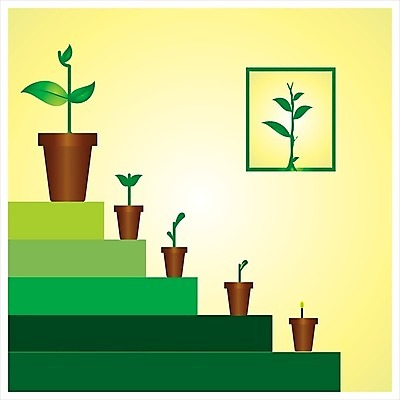 EPS 해외이미지 나무 식물 꽃 화분 곤충 과일 일러스트 자연 씨앗 사람없음 물 픽토그램 태양 정원 수레 물뿌리개 도구 벌레 모종삽 심볼 원예 무당벌레 묘목 해외202004 해외일러스트 자연요소 동물 취미 카트 삽 생태계 파일형식 벡터 이미지허브