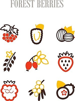 EPS 해외이미지 열매 음식 잎 과일 일러스트 딸기 건강 사람없음 빨간색 파란색 검은색 나뭇가지 신선 달콤 숲 다발 블루베리 산딸기 블랙베리 건포도 구스베리 해외202004 해외일러스트 나무 식물 컬러 포도 맛 건과일 파일형식 벡터 이미지허브
