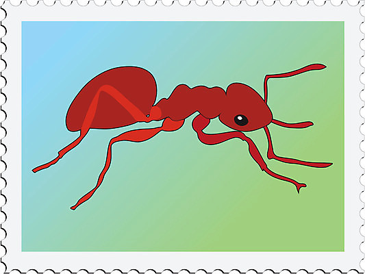 EPS 해외이미지 디자인 배너 종이 야생동물 곤충 인터넷 일러스트 자연 추상 미술 깃발 숲 편지 개미 진홍색 우표 해외202004 해외일러스트 동물 무늬 문화예술 빨간색 생태계 파일형식 벡터 이미지허브