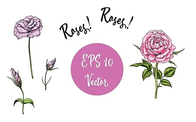 EPS 해외이미지 식물 디자인 꽃잎 꽃 분홍색 꽃다발 결혼 백그라운드 잎 꽃무늬 일러스트 자연 휴가 발렌타인데이 선물 사랑 장식 빨간색 초록색 여름 세트 장미 정원 봄 수확 벚꽃 축하 신용카드 생일 심볼 오브젝트 복고 초대 내추럴 고립 엘리먼트 스타일 현실 해외202004 해외일러스트 계절 기념일 감정 컬러 컨셉 무늬 농업 데이이벤트 이벤트 금융 생태계 파일형식 벡터 이미지허브