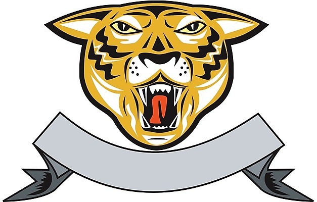 EPS 해외이미지 동물 야생동물 일러스트 그래픽 머리 고양이 호랑이 흰배경 복고 표범 고립 재규어 해외202004 해외일러스트 백그라운드 포유류 신체부위 반려동물 흰색 파일형식 벡터 이미지허브