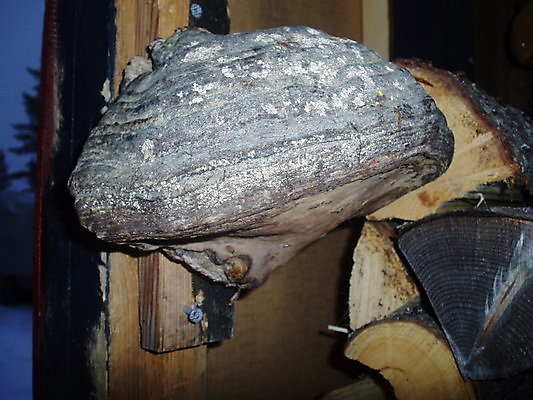 포토 JPG 해외이미지 사람없음 해외202004 해외포토 파일형식 이미지허브