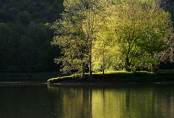 포토 JPG 해외이미지 나무 공원 호수 곤충 자연 하늘 아침 풍경 사람없음 물 강 컬러풀 반사 어둠 안개 가을 연못 숲 큼 모기 해외202004 해외포토 주간 자연요소 식물 동물 계절 공공시설 컬러 날씨 해충 크기 생태계 파일형식 이미지허브