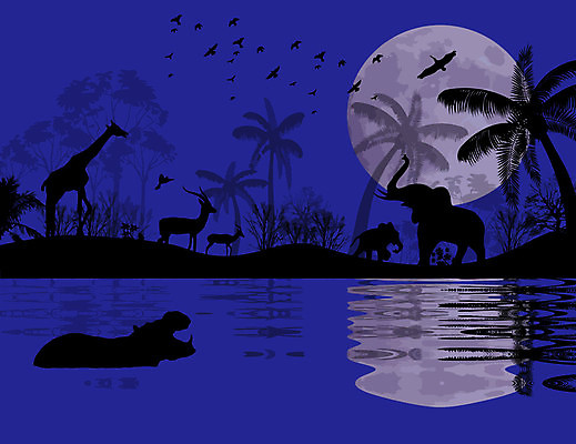 EPS 해외이미지 나무 식물 동물 실루엣 야생동물 여행 백그라운드 일러스트 포유류 아프리카 자연 조류 하늘 코끼리 동물원 손바닥 사랑 풍경 야외 물 여름 파란색 햇빛 태양 반사 걷기 일출 검은색 일몰 나뭇가지 큼 기린 사파리 영양 하마 케냐 사바나 전국 해외202004 해외일러스트 자연요소 손 계절 감정 나라 컬러 모션 촬영기법 노을 크기 생태계 파일형식 벡터 이미지허브