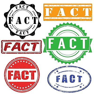 EPS 해외이미지 영어 일러스트 사람없음 세트 도장 컬러풀 라벨 사실 진실 해외202004 해외일러스트 문자 컬러 프레임 파일형식 벡터 이미지허브