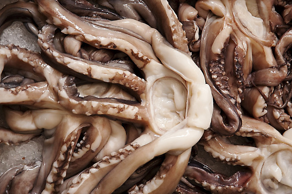 포토 JPG 해외이미지 음식 낚시 어류 요리 사람없음 와인 저녁식사 신선 시장 먹기 해산물 세피아 수유 영양분 해외202004 해외포토 모션 레저 주류 촬영기법 식사 수중동물 파일형식 이미지허브