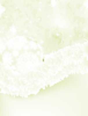 EPS 해외이미지 행복 별 리본 조각 백그라운드 크리스마스 겨울 일러스트 텍스트 공 휴가 새로움 장식 빛 축제 장식볼 흰색 축하 판넬 신용카드 눈송이 황금 우아함 은색 소프트포커스 샴페인 연도 크림 활 광택 내추럴 해외202004 해외일러스트 자연요소 계절 기념일 감정 컬러 컨셉 주류 눈_날씨 촬영기법 금융 파일형식 벡터 이미지허브