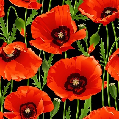 EPS 해외이미지 식물 디자인 계절 꽃잎 꽃 선 백그라운드 꽃무늬 패턴 일러스트 자연 벽지 추상 미술 씨앗 그래픽 장식 빨간색 초록색 정원 봄 수확 벚꽃 흰색 나뭇가지 화려 우아함 그림 질감 복고 양귀비 엘리먼트 스타일 해외202004 해외일러스트 나무 컬러 컨셉 무늬 농업 문화예술 생태계 파일형식 벡터 이미지허브