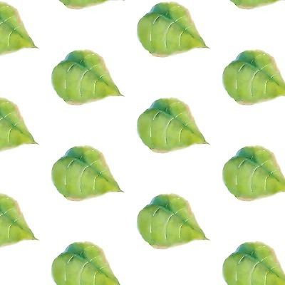 EPS 해외이미지 나무 식물 디자인 음식 백그라운드 잎 패턴 일러스트 재료 자연 벽지 추상 수채화 건강 미술 초록색 물 여름 정원 봄 성장 흰색 신선 차 정상 숲 허브 향신료 에코 유기농 질감 날것 바질 내추럴 고립 생태학 채식주의자 스타일 해외202004 해외일러스트 자연요소 웰빙 계절 교육 음료 컬러 무늬 문화예술 환경 생태계 채식 향미료 파일형식 벡터 이미지허브