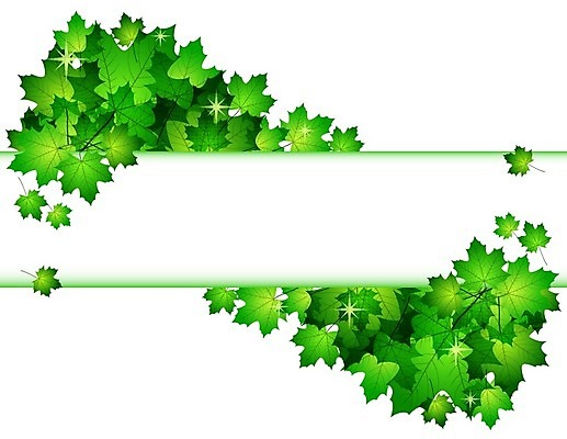 EPS 해외이미지 나무 식물 디자인 배너 계절 공원 포스터 백그라운드 잎 패턴 일러스트 자연 추상 프레임 장식 초록색 환경 정원 맑음 봄 활발 성장 덮개 흰색 나뭇가지 신선 숲 에코 유기농 원예 질감 내추럴 생태학 엘리먼트 해외202004 해외일러스트 웰빙 공공시설 교육 컬러 컨셉 무늬 날씨 취미 뚜껑 생태계 파일형식 벡터 이미지허브