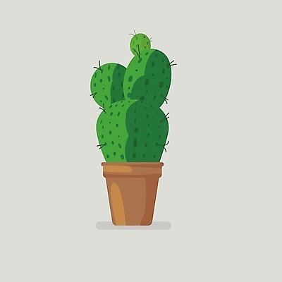 EPS 해외이미지 식물 손 디자인 꽃 화초 백그라운드 꽃무늬 일러스트 자연 선인장 주택 그림자 미술 그래픽 장식 초록색 물 여름 컬러풀 정원 회색 사막 흰색 플랫 냄비 만화 수집 그림 내추럴 고립 심기 이국적 스타일 해외202004 해외일러스트 자연요소 계절 컬러 무늬 모션 문화예술 건물 신체부위 솥 생태계 파일형식 벡터 이미지허브