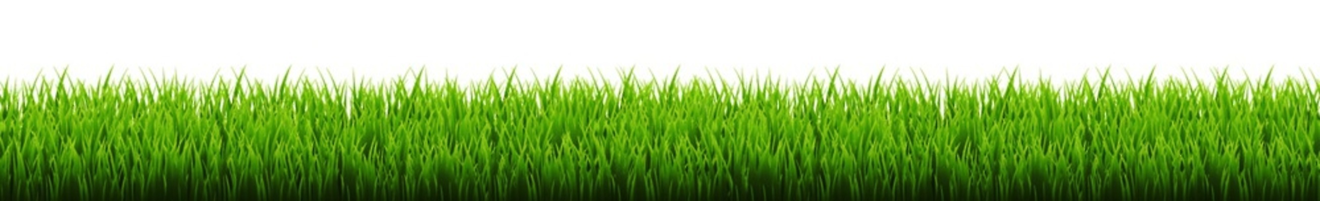 EPS 해외이미지 식물 공원 백그라운드 잎 패턴 밭 일러스트 자연 벽지 놀이 추상 프레임 잔디 야외 가로 초록색 여름 세트 환경 축구 봄 활발 흰색 신선 보호 큼 땅 허브 원예 질감 심플 각도 내추럴 고립 해외202004 해외일러스트 계절 공공시설 컬러 컨셉 무늬 농업 취미 구기 크기 생태계 파일형식 벡터 이미지허브