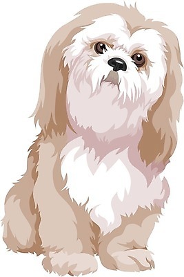 EPS 해외이미지 동물 백그라운드 일러스트 포유류 그래픽 반려동물 흰색 개 강아지 만화 묘사 그림 솜털 송곳니 고립 기르기 동반자 볼로냐 유래 해외202004 해외일러스트 컬러 치아 돌봄 파일형식 벡터 이미지허브