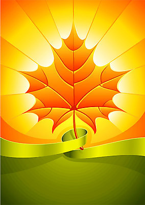 EPS 해외이미지 식물 템플릿 1 디자인 계절 리본 단풍 잎 꽃무늬 오렌지 일러스트 자연 조명 따뜻함 미술 장식 초록색 빛 햇빛 노란색 맑음 광선 가을 오브젝트 싱글 그림 레이아웃 격려 난방 내추럴 강렬 광 해외202004 해외일러스트 꽃 감정 컬러 무늬 과일 모션 날씨 문화예술 태양 생태계 파일형식 벡터 이미지허브