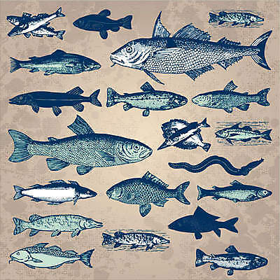 EPS 해외이미지 동물 디자인 실루엣 야생동물 바다 백그라운드 패턴 일러스트 자연 동물원 어류 미술 그래픽 장식 세트 수중 수확 골동품 인쇄 수집 그림 복고 과거 연어 판화 잉어 그런지 동물상 목판화 베이스 송어 스크랩북 해외202004 해외일러스트 컨셉 무늬 농업 현악기 문화예술 촬영기법 조형물 수중동물 생태계 파일형식 벡터 이미지허브