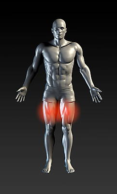 포토 JPG 해외이미지 신체 의학 근육 엑스레이 건강 사람없음 빛 허벅지 근육통 해외202004 해외포토 신체부위 고통 파일형식 이미지허브