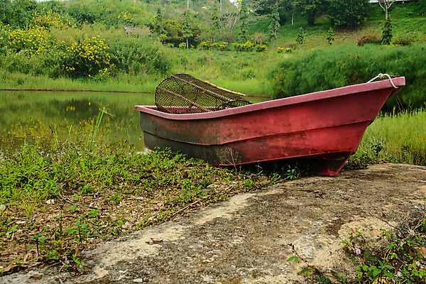 포토 JPG 해외이미지 나무 전통 섬 여행 자연 휴가 사람없음 야외 물 강 보트 해외202004 해외포토 자연요소 식물 배_교통 생태계 파일형식 이미지허브