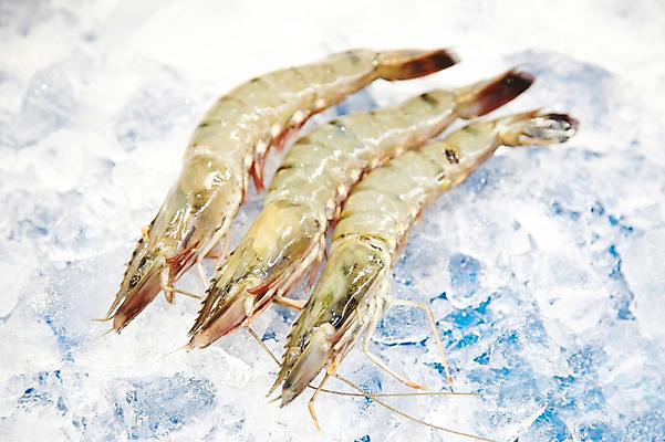 포토 JPG 주간 식재료 새우 세마리 근접촬영 사람없음 야외 얼음 신선 시장 해산물 흰배경 날것 수산시장 생새우 국내포토 자연요소 뷰포인트 백그라운드 어패류 3 갑각류 흰색 파일형식