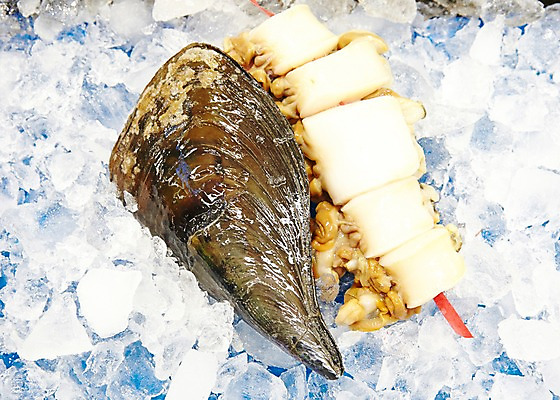 포토 JPG 주간 동물 음식 식재료 재료 조개 어패류 근접촬영 사람없음 야외 아웃포커스 얼음 신선 시장 해산물 날것 수산시장 관자 키조개 국내포토 자연요소 뷰포인트 촬영기법 파일형식