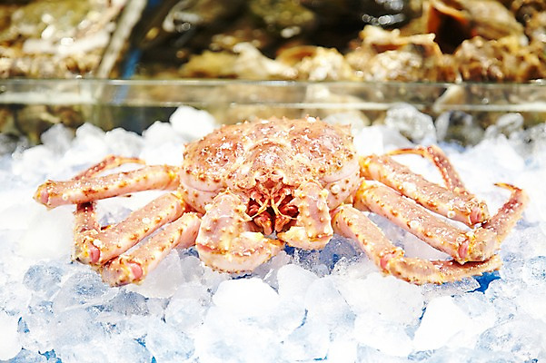 포토 JPG 주간 동물 한마리 음식 식재료 재료 근접촬영 사람없음 야외 아웃포커스 얼음 게 신선 시장 해산물 날것 수산시장 킹크랩 대게 국내포토 자연요소 1 뷰포인트 촬영기법 갑각류 파일형식