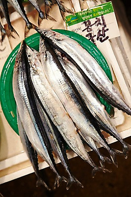 포토 JPG 주간 식재료 재료 근접촬영 사람없음 야외 쌓기 바구니 얼음 여러개 전시 신선 해산물 날것 수산시장 꽁치 국내포토 자연요소 뷰포인트 다수 모션 어류 시장 파일형식