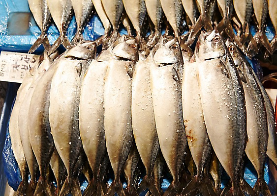 포토 JPG 주간 식재료 재료 근접촬영 사람없음 야외 쌓기 얼음 여러개 전시 신선 해산물 날것 고등어 수산시장 생선자반 자반고등어 국내포토 자연요소 뷰포인트 다수 모션 어류 시장 파일형식