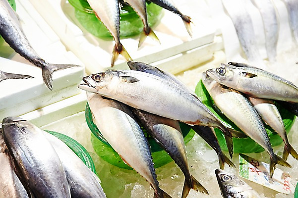 포토 JPG 주간 여러마리 식재료 재료 사람없음 야외 쌓기 바구니 얼음 전시 신선 해산물 날것 고등어 수산시장 국내포토 자연요소 다수 모션 어류 시장 파일형식