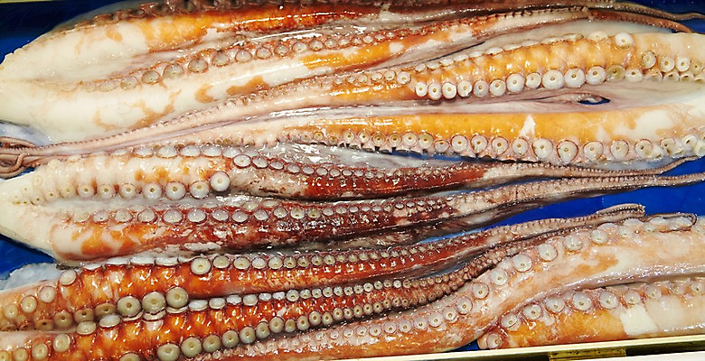 포토 JPG 주간 음식 여러마리 식재료 재료 사람없음 야외 얼음 여러개 신선 해산물 날것 문어 수산시장 문어다리 빨판 국내포토 자연요소 다수 연체동물 수중동물 시장 파일형식