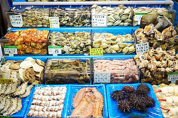 포토 JPG 주간 식재료 재료 어패류 새우 통 종류 사람없음 야외 얼음 전시 다양 신선 소라 해산물 날것 수족관 가리비 수산시장 성게 개불 멍게 국내포토 자연요소 동물 다수 조개 극피동물 갑각류 바다동물 시장 해물 파일형식