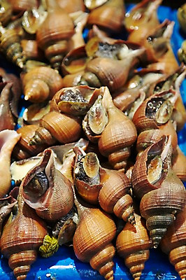 포토 JPG 주간 동물 음식 식재료 재료 어패류 근접촬영 사람없음 야외 아웃포커스 쌓기 얼음 여러개 신선 시장 소라 해산물 날것 수산시장 국내포토 자연요소 뷰포인트 다수 모션 촬영기법 파일형식