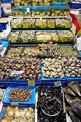 포토 JPG 주간 동물 음식 식재료 재료 조개 어패류 통 종류 사람없음 야외 얼음 전시 신선 시장 소라 해산물 날것 수족관 가리비 수산시장 미더덕 키조개 국내포토 자연요소 수중동물 파일형식