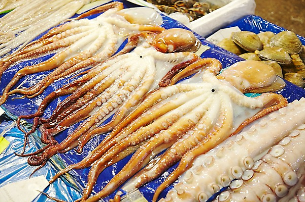 포토 JPG 주간 음식 여러마리 식재료 재료 조개 어패류 사람없음 야외 얼음 전시 신선 해산물 날것 문어 수산시장 문어다리 빨판 국내포토 자연요소 동물 다수 연체동물 수중동물 시장 파일형식