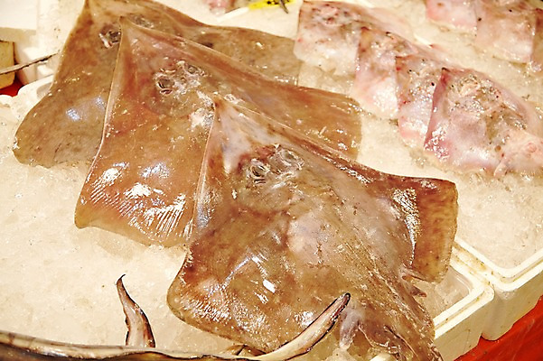 포토 JPG 주간 여러마리 식재료 재료 근접촬영 사람없음 야외 얼음 전시 신선 해산물 날것 수산시장 홍어 국내포토 자연요소 뷰포인트 다수 어류 시장 파일형식