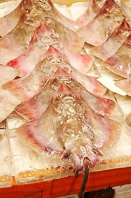 포토 JPG 주간 음식 여러마리 식재료 재료 어류 근접촬영 사람없음 야외 아웃포커스 얼음 전시 신선 해산물 날것 수산시장 홍어 국내포토 자연요소 뷰포인트 다수 촬영기법 수중동물 시장 파일형식