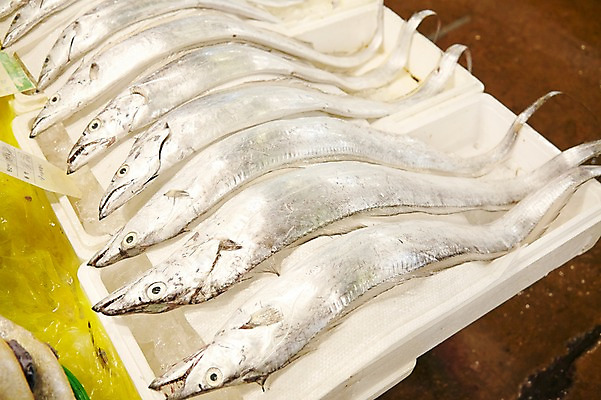 포토 JPG 주간 여러마리 식재료 재료 근접촬영 사람없음 야외 얼음 전시 신선 해산물 날것 수산시장 갈치 스티로폼박스 국내포토 자연요소 뷰포인트 다수 어류 상자 시장 파일형식