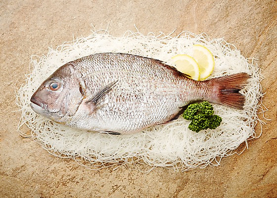 포토 JPG 스튜디오촬영 한마리 식재료 재료 실내 사람없음 장식 신선 레몬 해산물 날것 옥돔 갈색배경 국내포토 1 백그라운드 과일 어류 내부 갈색 파일형식