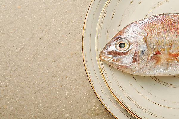 포토 JPG 스튜디오촬영 한마리 그릇 접시 식재료 재료 실내 사람없음 신선 해산물 날것 옥돔 베이지색배경 국내포토 1 식기 백그라운드 어류 내부 베이지색 파일형식