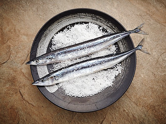 포토 JPG 스튜디오촬영 그릇 식기 접시 두마리 식재료 재료 실내 어류 사람없음 신선 해산물 날것 소금 꽁치 갈색배경 국내포토 백그라운드 2 내부 갈색 수중동물 파일형식