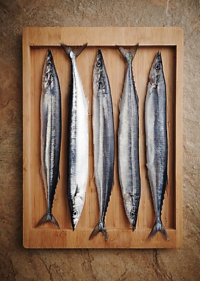 포토 JPG 스튜디오촬영 그릇 여러마리 식재료 재료 쟁반 실내 어류 사람없음 신선 해산물 날것 꽁치 갈색배경 국내포토 식기 다수 백그라운드 내부 갈색 수중동물 파일형식