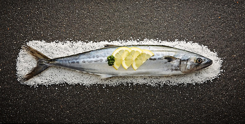 포토 JPG 스튜디오촬영 한마리 식재료 재료 검은배경 실내 어류 사람없음 신선 레몬 해산물 날것 소금 삼치 국내포토 1 백그라운드 과일 내부 검은색 수중동물 파일형식