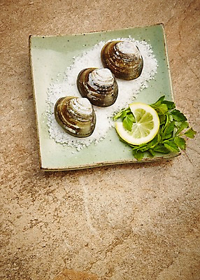 포토 JPG 스튜디오촬영 식물 동물 그릇 식기 접시 음식 식재료 재료 조개 어패류 실내 사람없음 신선 세개 풀 레몬 해산물 날것 소금 국내포토 백합조개 과일 3 내부 파일형식